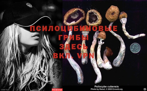 гидра Яровое