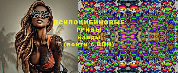 гидра Яровое