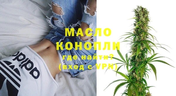гидра Яровое
