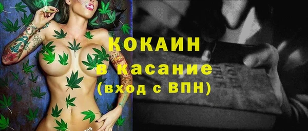 PSILOCYBIN Яранск