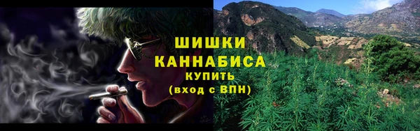 гидра Яровое